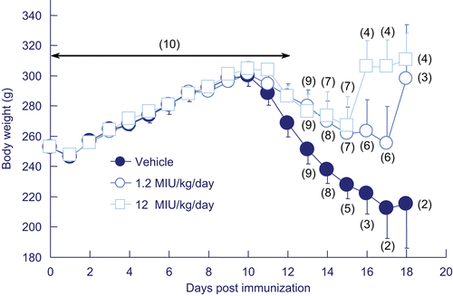 Figure 4.  Effects of GPA-Betaferon on body weight in guinea pigs sensitized with porcine myelin basic protein (P-MBP). Vehicle (•) or GPA-Betaferon at 1.2 MIU/kg (○) or 12 MIU/kg (□) was administered subcutaneously daily for 20 days. Each value represents the mean ± SD, and figures in parentheses indicate the number of surviving animals.