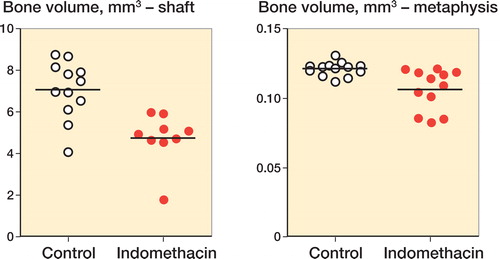 Figure 3. Amount of new-formed bone in a shaft fracture model and a metaphyseal fracture model. Indomethacin led to a significant decrease in new-formed bone (by 33% in the shaft and by 12% in the metaphysis).