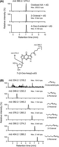 Fig. 1. LC-MS/MS analysis of 7-(2-oxo-hexyl)-εdG (OOE-dG) and 2-alkenal-derived 7-(2-oxo-alkyl)-εdG adducts.