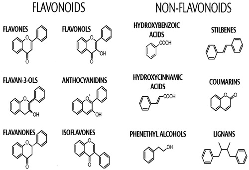 Figure 2. Structures of major polyphenols found in plant and seaweeds (Corona, Citation2011).