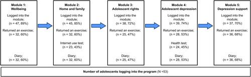 Figure 2 Realized logging in to modules and completed exercises per adolescent in the intervention group.