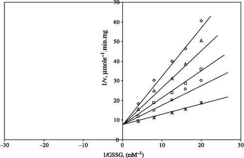 Figure 5 Lineweaver-Burk double reciprocal plot of initial velocity against GSSG as varied substrate and NiSO4 (0.1–0.4 mM) as inhibitor at different fixed NADPH (0.1 mM) concentrations. *0.1 mM NADPH (constant); ○ 0.1 mM NiSO4; ▪ 0.2 mM NiSO4; Δ 0.3 mM NiSO4; ⋄ 0.4 mM NiSO4.
