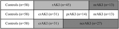 Figure 1.  Renal outcomes according to different definitions. rAKI, recovered AKI; crAKI, complete-recovered AKI; nrAKI, non-recovered AKI; ncrAKI, non-complete recovered AKI.