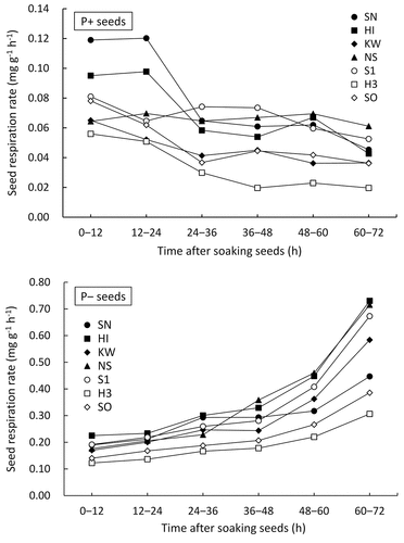 Figure 3. Changes with time in the respiration rate of P+ and P− obtained for seeds not submerged before respiration measurement. P+ and P− are seeds without and with pericarp removal.