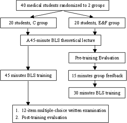 Figure 1. A summary of study profile. C group, the control group; E&F group, pre-training evaluation and feedback group. BLS, basic life support.