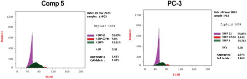 Figure 6. Cell cycle analysis of compound 5 at its IC50 on PC-3 cancer cells.