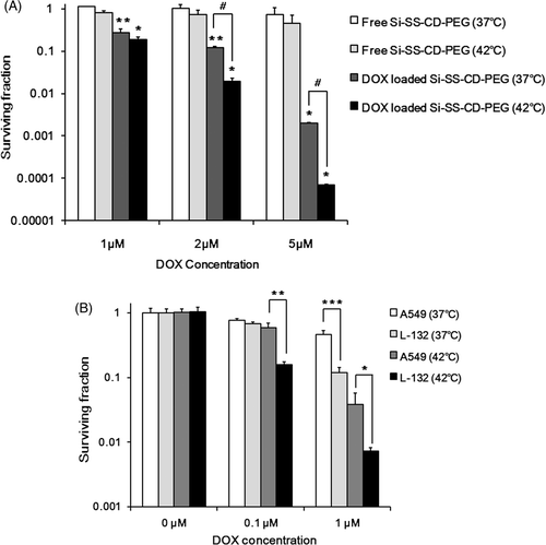 Figure 6. Effect of hyperthermia on the clonogenic survival of A549 cells treated with DOX-loaded Si-SS-CD-PEG. (A) A549 cells were heated at 42°C for 1 h with free Si-SS-CD-PEG or DOX-loaded Si-SS-CD-PEG and then further incubated with the carrier at 37°C for 23 h. After the incubation, cells were washed and cultured for a further 10–14 days, and survival proportions were calculated. (B) A549 and L-132 cells were heated at 42°C for 1 h with free DOX, washed, cultured for a further 10–14 days, and the surviving fractions were obtained from the number of colonies. Data are as means of three independent experiments ± 1 SE. *P < 0.05, **P < 0.01, ***P < 0.001.
