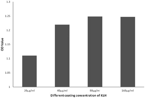 Figure 1. OD values obtained using different KLH coating concentrations. The results showed that when the concentration of coated antigen reached 80 µg/ml, the OD value did not increase significantly when higher concentrations were employed. For this assay, test sera dilution was fixed at 1:800 (in 1% BSA/PBS) and the HRP-conjugated goat-anti-mouse IgG antibody dilution was fixed at 1:16,000 (in 1% BSA/PBS).