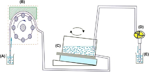 Figure 1. CTC enrichment and separation equipment. (A) The beaker containing 50mLPBS. (B) Peristaltic pump. (C) Horizontal table and self-made enrichment and separation container. (D) Vacuum pump. E: The beaker for receiving PBS pumped from D.
