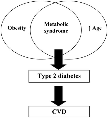 Figure 1. The increasing incidence of obesity in conjunction with increasing age overlaps to contribute to the presence of metabolic syndrome, which in turn directly increases rates of type 2 diabetes, as well as cardiovascular disease.