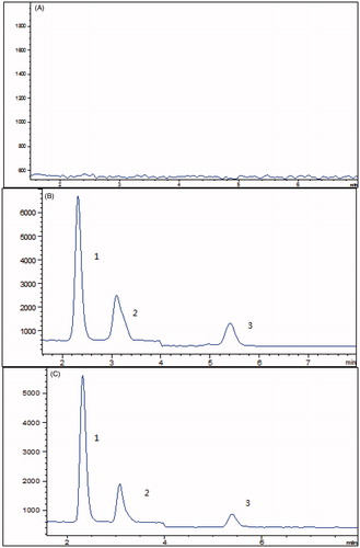Figure 5. (A) Representative chromatograms of blank microsome incubation solutions; (B) blank microsome incubation solution spiked with losartan (2), EXP3174 (3) and irbesartan (1); (C) blank microsome incubation solution treated with BBR and losartan.