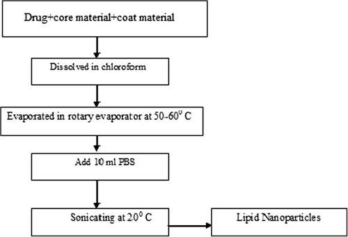 Figure 4. Schematic procedure of solvent emulsification evaporation.
