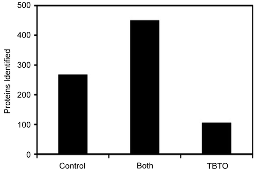 Figure 2.  Number of identified proteins common for control and TBTO-exposed sample, as well as the number proteins detected in either the control or TBTO-exposed cells.