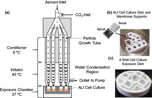 Figure 1. (a) Schematic of condensational particle growth in DAVID. Four growth tubes each with one jet are shown in the schematic for simplicity, though there are eight tubes with four jets each. (b) Custom ALI cell culture, and (c) exposure dishes to interface in DAVID.