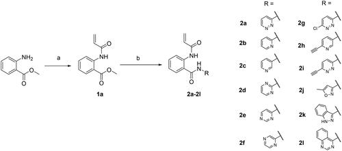 Scheme 1. Reagents and conditions: (a) acryloyl chloride, Et3N, CH2Cl2, rt, 3 h, 44%; (b) arylamine, trimethylaluminum 2 M in toluene, dry toluene, 110 °C, 3 h, 11–35%.