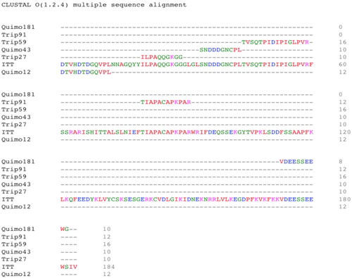 Figure 7. Alignment of the primary amino acid sequence of the trypsin inhibitor purified from tamarind seeds [model number 56, conformation number 287 (TTIp 56/287)] with its derivative peptides obtained by cleavage with the combined enzymes chymotrypsin and trypsin. Chymo12: peptide cleaved by chymotrypsin at position 12 when hydrolysed with a combination of trypsin and chymotrypsin enzymes; Trip27: peptide cleaved by trypsin at position 27; Chymo43: peptide cleaved by chymotrypsin at position 43; Trip59: peptide cleaved by trypsin at position 59; Trip91: peptide cleaved by trypsin at position 91 and Chymo181: peptide cleaved by chymotrypsin at position 181. Alignment performed using CLUSTAL W.