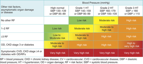 Figure 1. Stratification of total CV risk in categories of low, moderate, high and very high risk according to SBP and DBP and prevalence of RFs, asymptomatic OD, diabetes, CKD stage or symptomatic CVD. Subjects with a high normal office but a raised out-of-office BP (masked hypertension) have a CV risk in the hypertension range. Subjects with a high office BP but normal out-of-office BP (whitecoat hypertension), particularly if there is no diabetes, OD, CVD or CKD, have lower risk than sustained hypertension for the same office BP.