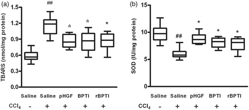 Figure 4. Effect of rBPTI on liver TBARS and SOD activity in rats. TBARS, thiobarbituric acid reactive substance; SOD, superoxide dismutase; see Figure 1 for the treatment. Data are shown as mean ± SD (n = 10). ##p < 0.01 compared with saline group (group 1). *p < 0.05 compared with saline/CCl4 group (group 2).