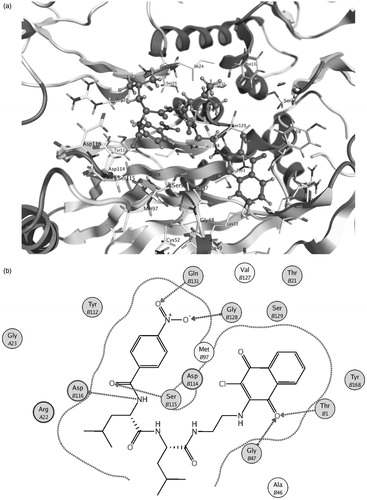 Figure 4. Molecule 5 in the β5 binding pocket (a) and a schematic diagram of the inhibitor–protein interactions (b).