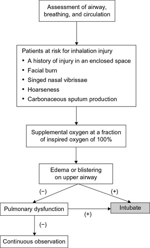 Figure 1 An algorithm to manage the patients at risk for inhalation injury in the emergency room.