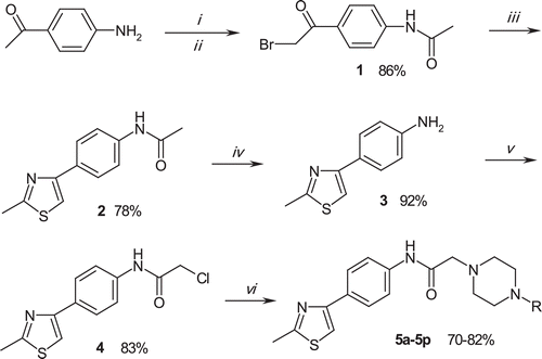 Scheme 1.  Synthesis of the compounds (5a–5p). Reagents: (i) acetyl chloride, TEA, THF, 0–5°C; (ii) Br2, AcOH; (iii) thioacetamide, EtOH, r.t.; (iv) 1 N HCl, EtOH, reflux; (v) chloroacetyl chloride, TEA, THF, r.t.; (vi) appropriate 4-substituted piperazine, K2CO3, acetone, reflux.