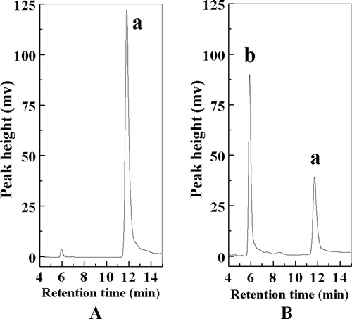 Figure 2.  The HPLC analysis of pure eugenol (A) and reaction mixture (B) at 48 h; peak a, eugenol; peak b, α-EG.
