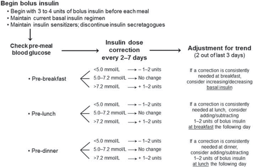 Figure 4. Dose adjustment for multiple daily injection insulin therapy.