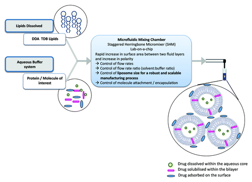 Figure 3. Schematic outline of the principles involved in the preparation of liposomes using microfluidics.