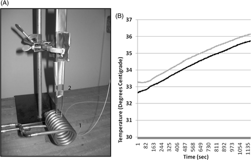 Figure 1. The experimental apparatus used to deliver a focused homogeneous electromagnetic field to growth chambers containing living cells and nanoferrite nanoparticles while monitoring temperature in the cell growth media. A 10 kW AMF power supply was connected to a copper solenoid coil (A1) and used to expose living cells, in the presence or absence of nanoferrite nanoparticles, to an alternating magnetic field. The solenoid coil diameter was designed to accommodate two stacked eight-chamber Lab-Tek devices to bring the cell growth areas into a uniform aspect of magnetic field. The power source was operated at a 150 kHz frequency for 20 min during irradiations. Two temperature probes were inserted through pipette catheters into two growth chamber wells (A2) for all treatments, and temperature of the media in two wells were monitored continuously (B) during and following AMF exposures. Shown are readings for SK-BR-3 cells with Her-2 nanoparticles (black) versus non-directed nanoparticles (grey) collected in parallel under the same AMF exposure. The chiller was set to 33°C and after 20 min of AMF exposure, the media above cells only rose 3°C. This rise in temperature is due to induction coil contact and transference of heat to the Lab-Tek slides. It is observed in wells with medium alone without cells that never received nanoparticles. No cell death is observed using either HMEC or SK-BR-3 cells in control wells without nanoparticles exposed to AMF in parallel and experiencing these temperature ranges during AMF.