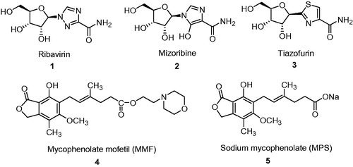 Figure 1. Currently used drugs that target IMPDH.