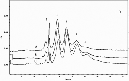 Figure 5 Electropherogram of PEG-bHb produced by different reaction ratios of hemoglobin to PEG (A,1:8; B,1:10; C,1:12).