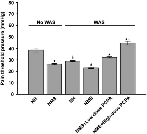 Figure 1.  Effects of WAS and PCPA on colonic nociceptive threshold in normal handled (NH) and NMS rats (n = 5 in all groups except n = 4 in NMS+low-dose PCPA+WAS group). Data are presented as mean ± S.E.M. *P < 0.001 vs. NH group, §P < 0.001 vs. NH group, #P < 0.001 vs. NH+WAS group (t-tests); ▴P < 0.001 vs. NMS+WAS group, †P < 0.001 vs. NMS+low-dose PCPA+WAS group (Bonferroni's correction).