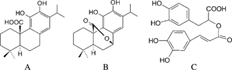 Figure 1 Structures of carnosic acid (A), carnosol (B), and rosmarinic acid (C).