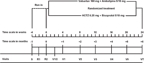 Figure 1. Schematic representation of the trial. HCTZ indicates hydrochlorothiazide.