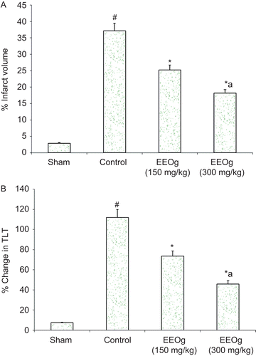 Figure 1.  A) Neuroprotective effect of ethanol extract of O. gratissimum (EEOg) on brain infarction in rats subjected to focal cerebral ischemia and 24 h reperfusion injury. The data are expressed as mean ± SD; n = 7; ANOVA followed by Tukey’s post hoc multiple range test; *p <0.05 versus control; #p < 0.05 versus sham; ap <0.05 versus 150 mg/kg dose of EEOg. B) Effect of EEOg on impairment of short-term memory (plus maze test) in rats subjected to focal cerebral ischemia and 24 h reperfusion injury. The data are expressed as mean ± SD; n = 7; ANOVA followed by Tukey’s post hoc multiple range test; *p <0.05 versus control; #p < 0.05 versus sham; ap <0.05 versus 150 mg/kg dose of EEOg.