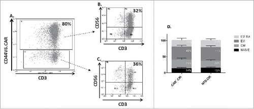 Figure 1. Phenotype of antiCD44v6 CAR+.CIK cells. Mature CIK cells efficiently expressed anti-CD44v6CAR (A). The CD3+CD56+ subset of CIK cells was equally distributed between CAR+ (B) and CAR− (C) cells. CAR+.CIK were mostly effector memory (EM / EM RA), followed in order by naive and central memory phenotype (D). The phenotype was comparable with that of unmodified NTD.CIK (unpaired t test, P > 0.05). Abbreviations: Chimeric Antigen Receptor (CAR); Not Transduced (NTD); Effector Memory (EM: CD45RA−/CD62 L-); Effector Memory RA (EM RA: CD45RA+/CD62 L-); Central Memory (CM: CD45RA−/CD62 L+); NAÏVE: CD45RA+/CD62 L+.