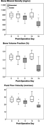 Figure 5. Bone density parameters from microCT and estimated fluid flow velocity. Note the decreased value in all parameters after 14 days of pressurizing. Box plot with 10th, 25th, 50th, 75th and 90th percentiles.