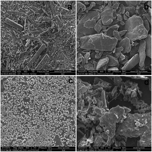 Figure 5. Scanning electron micrograph: (a) RES raw powder, (b) CMCS, (c) RES-CMCSNPs and (d) RES-CMCSNPs with mannitol.
