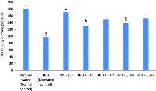 Figure 2. Effect of aqueous leaf extracts of S. mombin and F. exasperata on gastric superoxide dismutase (SOD) activity of indomethacin ulcerated rats (n = 7, X ± SEM). aSignificantly different from the normal control group (p < 0.05). bSignificantly different from the indomethacin-ulcerated control group (p < 0.05). IND, indomethacin (30 mg/kg b.w.); ESP, esomeprazole (20 mg/kg b.w.); F.E1, Ficus exasperata (100 mg/kg b.w.); F.E2, Ficus exasperata (200 mg/kg b.w.); S.M1, Spondias mombin (100 mg/kg b.w.); S.M2, Spondias mombin (200 mg/kg b.w.).