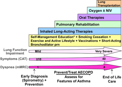 Figure 1. Comprehensive management of COPD.Integrated approach to care that includes confirming COPD diagnosis with spirometry, evaluation of symptom burden and risk of exacerbations with on-going monitoring, assessment for features of asthma, and comprehensive management, both non-pharmacologic and pharmacologic.* = Self-Management Education includes appropriate inhaler device technique and review, breathing techniques and review, early recognition of AECOPD, written action plan development and implementation (if appropriate).mMRC is a modified (0-4 scale) version of the MRC breathlessness scale which was used in previous CTS guidelines. The mMRC aligns with the Global Initiative for Chronic Obstructive Airways Disease (GOLD) 2019 report.Abbreviations: CAT = COPD assessment test; mMRC = Modified Medical Research Council; prn = as-needed; AECOPD = acute exacerbation of COPD; Inhaled Long-Acting Therapies = long-acting muscarinic antagonist and/or long-acting ẞ2-agonist and/or inhaled corticosteroid; NIV = non-invasive ventilation.