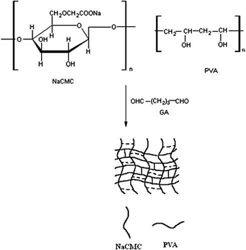 Figure 2. Schematic representation of the synthesis of IPN polymers.