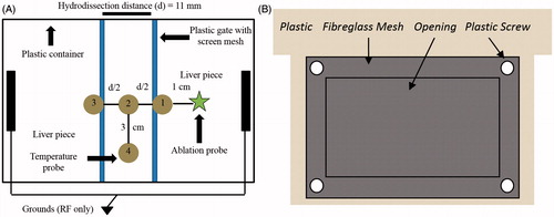 Figure 2. (A) Set-up for ex vivo ablation experiments in a plastic container. Two bovine liver pieces are held at a constant distance, d = 11 mm, by two plastic gates. This separation enables the establishment of a hydrodissection fluid barrier. The ablation probe was placed 1 cm away from the hydrodissection fluid. Temperature probes 1–4 were organized in this fashion to examine convective versus conductive heat dissipation within the hydrodissection barrier; temperature readings were obtained every second. (B) Plastic gate construction. A rectangular opening was cut from the middle of a piece of plastic. Screen mesh was secured over the opening using plastic screws. The mesh-covered opening allowed for direct heat transfer from the neighbouring liver pieces to the hydrodissection fluid while maintaining a constant hydrodissection distance.