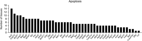 Figure 4. Frequency of representative rhythmically expressed genes in the functional category Apoptotic processes selected according to the Gene Ontology classification [GO:0006915]. For further details, see Figure 1, and also Supplementary Table IV(to be found online at http://informahealthcare.com/doi/abs/10.3109/07853890.2014.892296).
