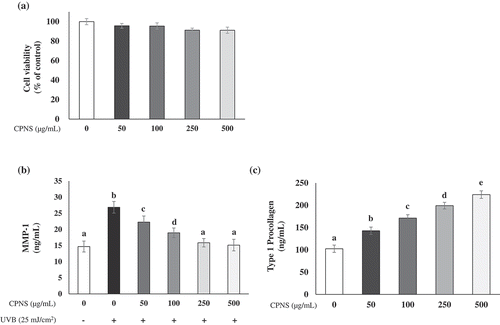 Figure 2. Effects of CPNS on the level of MMP-1 production and type 1 procollagen synthesis in UVB-irradiated HDF cells (25 mJ/cm2). (a) Effect of CPNS on HDF cell viability was determined by MTT assay (b) UVB-induced MMP-1 (ng/mL) concentrations, and (c) type 1 procollagen (ng/mL) concentrations were determined by ELISA. Symbols (-) and (+) designate the two control groups (unexposed and exposed to UVB, respectively).