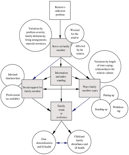 Figure 1. Stress-Strain-Coping-Support Model (Orford, Citation2013).