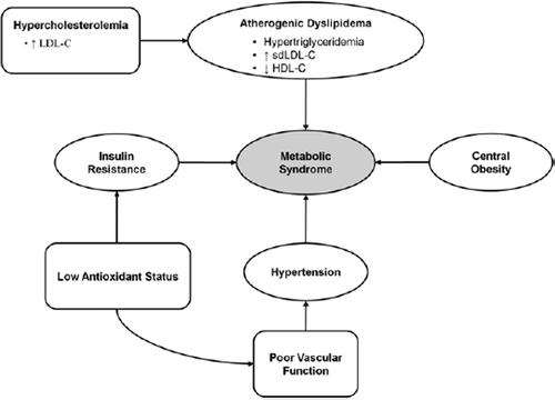 Figure 1. MetS as a multifaceted disease encompassing central obesity, atherogenic dyslipidemia, hypertension, and insulin resistance. Low antioxidant status can contribute to the development of hypertension and insulin resistance, while hypercholesterolemia, specifically high LDL-C, is a primary target for atherogenic dyslipidemia.