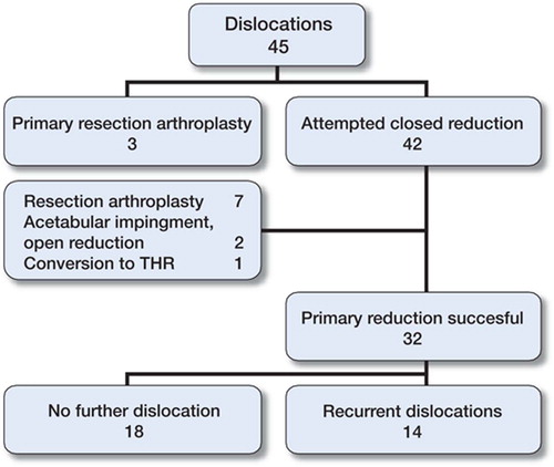 Outcome in patients with dislocation (n = 45).