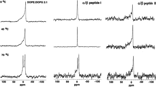 Figure 4.  31P NMR as a function of temperature with DOPE: DOPG (2:1) as control (left column) and in the presence of α/β-peptide I (middle column) or α/β-peptide II (right column). Each sample contained DOPE: DOPG (2:1) with or without 10 mol% of α/β-peptide in 200 µl Pipes buffer pH 7.4.