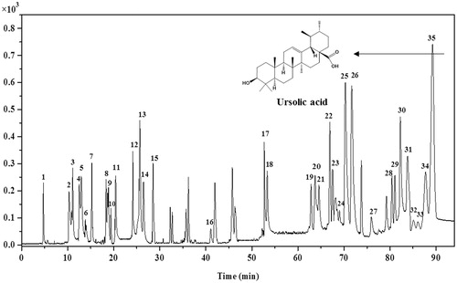 Figure 1. UPLC–Q–TOF/MS total ion current chromatograms of EFE in negative mode.