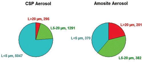 Figure 2.  The mean number of fibers in the exposure atmospheres in each of the three length categories < 5 µm, 5–20 µm, and > 20 µm are illustrated for the CSP and amosite aerosols.